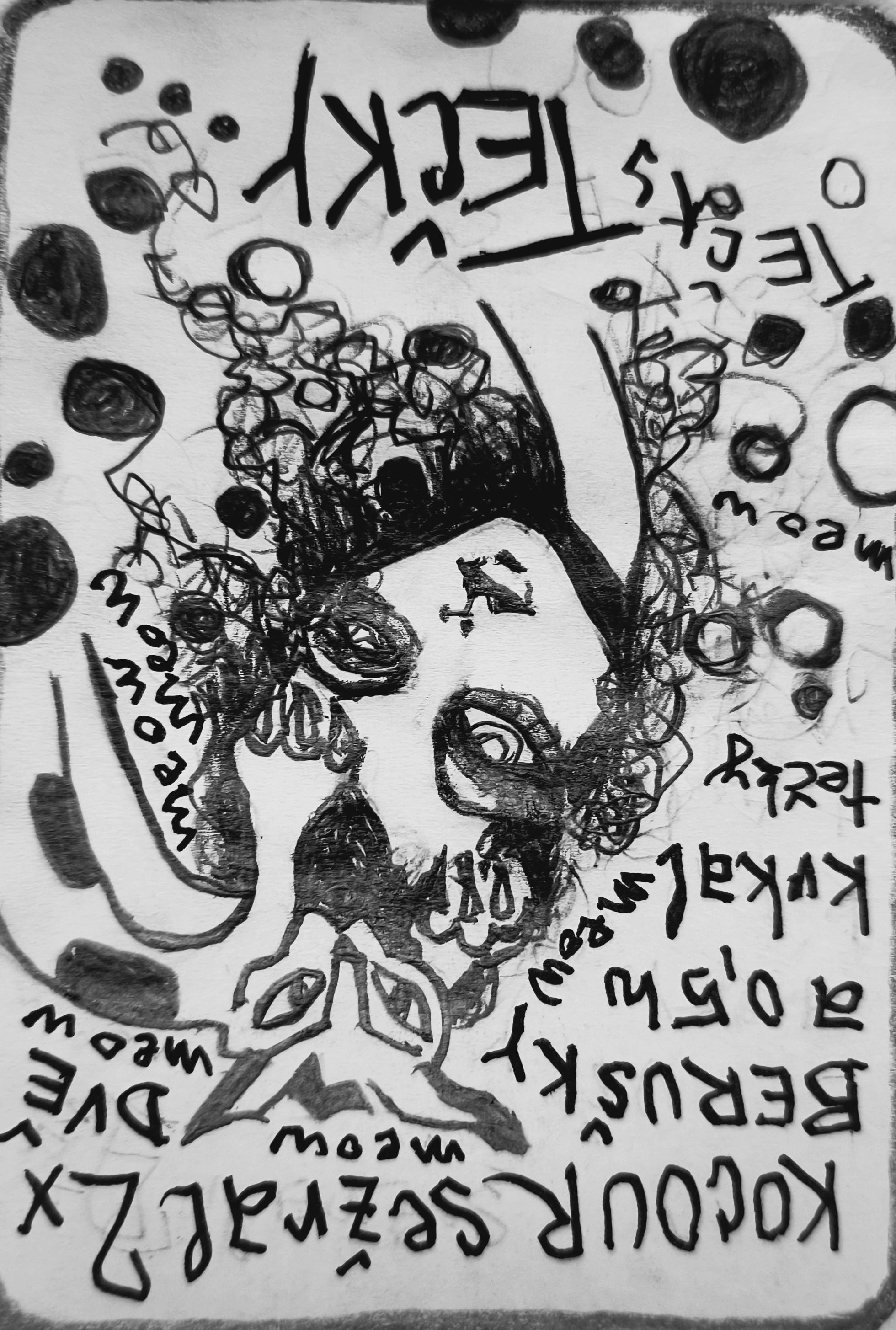 Ilustrace kocoura