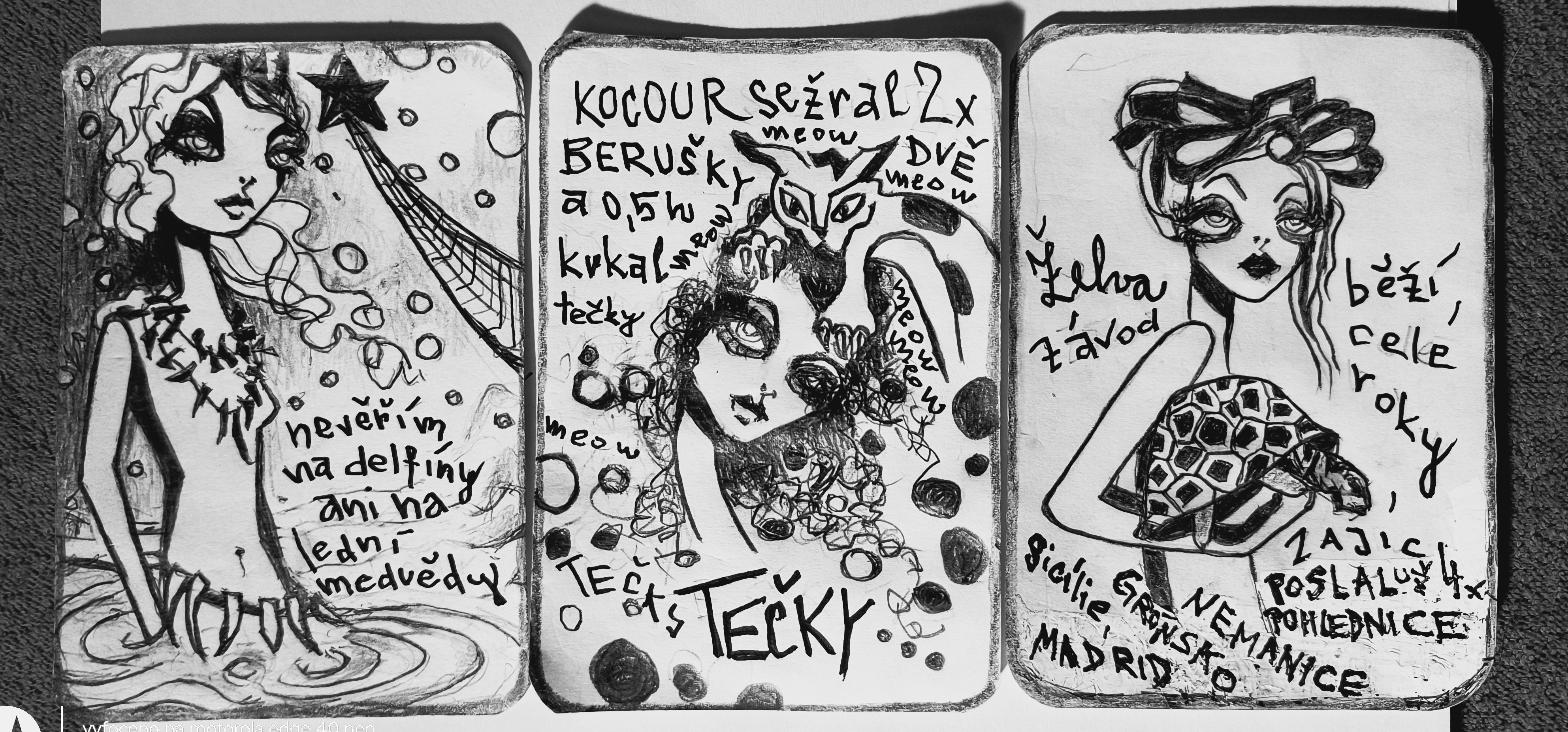 Tři ukázkové karty systému Chceš MYŠ?